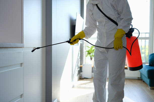 Best Mold Cleaning Services  in St Johns, AZ