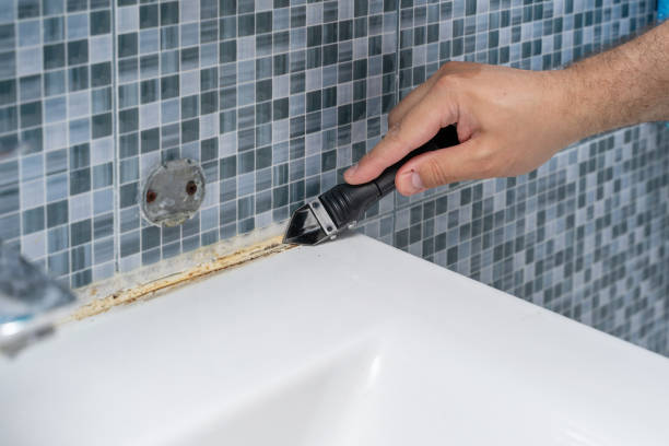 Best Mold Remediation  in St Johns, AZ