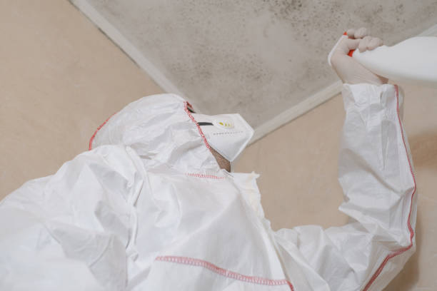Best Crawl Space Mold Removal  in St Johns, AZ